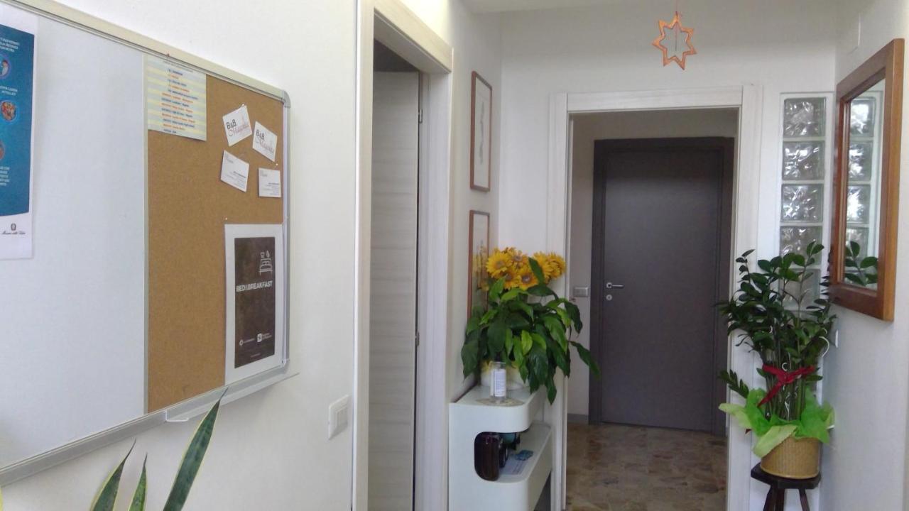 B&B Magenta 3* Magenta